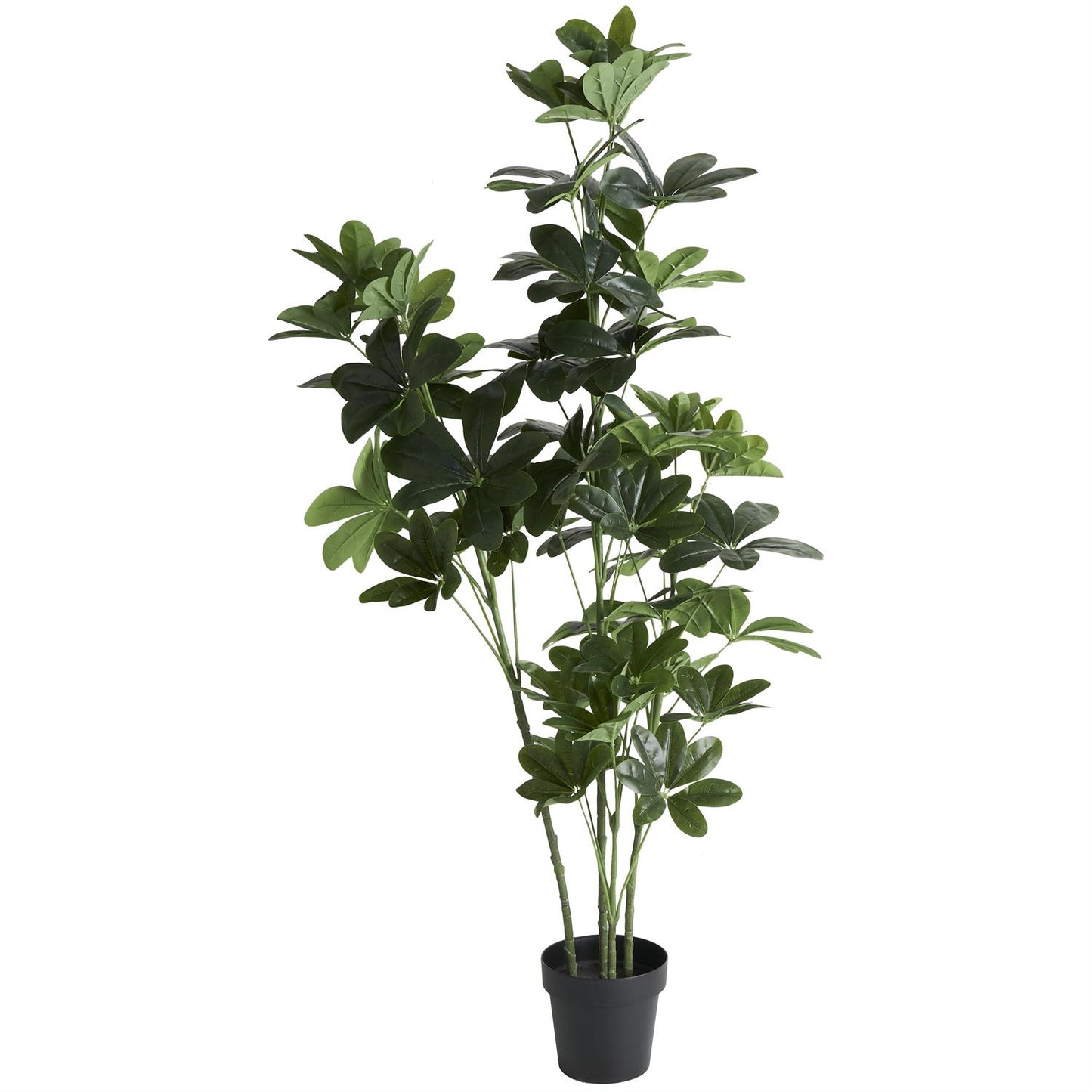 57096 GREEN FAUX FOLIAGE MONEY TREE TALL ARTIFICIAL TREE WITH BLACK POT, 30" X 24" X 63"