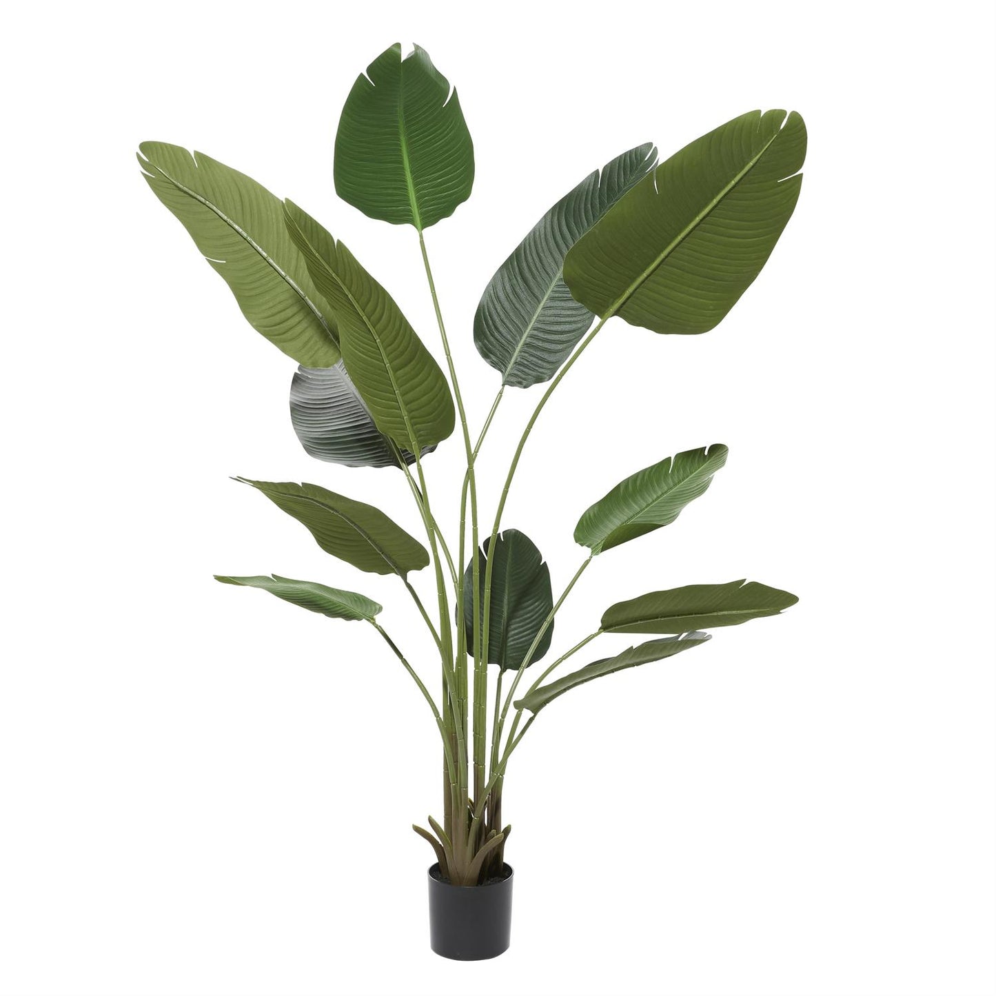 38288 GREEN FAUX FOLIAGE BIRD OF PARADISE ARTIFICIAL TREE WITH REALISTIC LEAVES AND BLACK PLASTIC POT, 47" X 39" X 70"