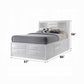 00712 Dnaleri Queen Bed W/Storage