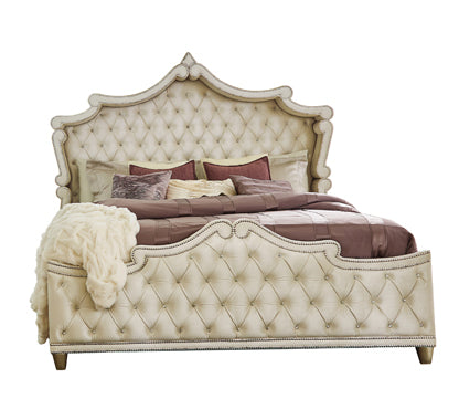 Antonella Upholstered Tufted