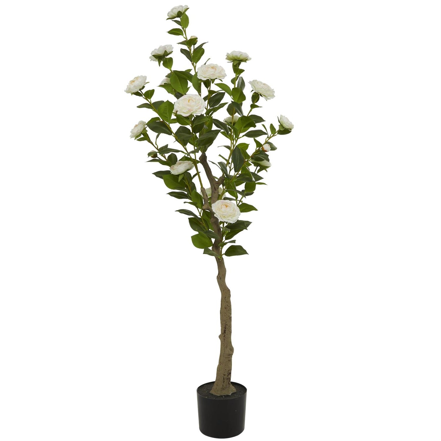 46303 Green Faux Foliage Camellia Artificial Tree with Realistic Leaves and Black Plastic Pot, 20" x 20" x 56"