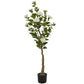 46303 Green Faux Foliage Camellia Artificial Tree with Realistic Leaves and Black Plastic Pot, 20" x 20" x 56"
