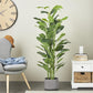 47096 GREEN FAUX FOLIAGE ARTIFICIAL TREE WITH BLACK PLASTIC POT, 29" X 29" X 61"