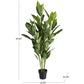47096 GREEN FAUX FOLIAGE ARTIFICIAL TREE WITH BLACK PLASTIC POT, 29" X 29" X 61"