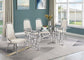 122D Glass 5pc Dining set
