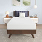 808MD Muitrutsam 8" Bamboo Charcoal Infused Memory Foam