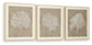 Ashley Express - Hendridge Wall Art Set (3/CN)