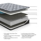 Ashley Express - Comfort Plus  Mattress