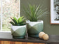 Ashley Express - Ardenridge Planter Set (2/CN)