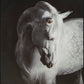 Ashley Express - Archerwick Wall Art