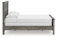 Ashley Express - Frandern Queen Panel Bed