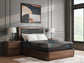 Ashley Express - Millennium 2.0 Foam 12 Inch Queen Mattress